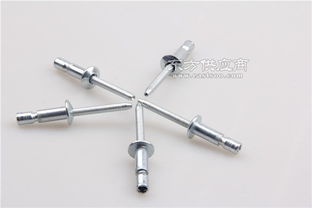 不銹鋼拉釘報(bào)價(jià)單 不銹鋼拉釘 銳宇達(dá)五金廠家直銷圖片