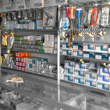 她辭職開了家五金店,承擔起了一家六口人的生活費,做得有聲有色