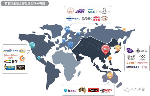 若羽臣擬IPO 以電商綜合服務(wù)助力強(qiáng)生、美贊臣等全球優(yōu)質(zhì)品牌，賦能互聯(lián)網(wǎng)銷售